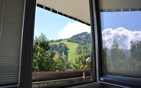Alpine Lodge Apartment